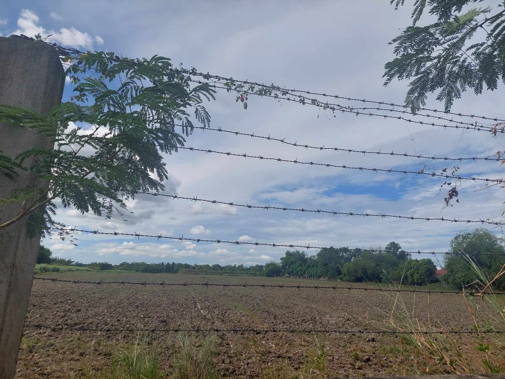 🌾 2.9 Hectares Agricultural Land with Warehouse for Sale 🌾 - Image 4 of 5