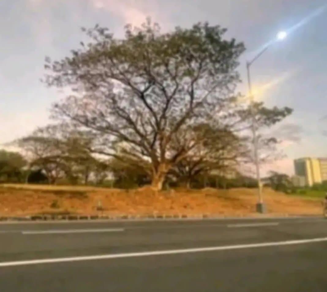 FOR SALE LOT @ PALMS POINTE, ALABANG, MUNTILUPA CITY - Image 3