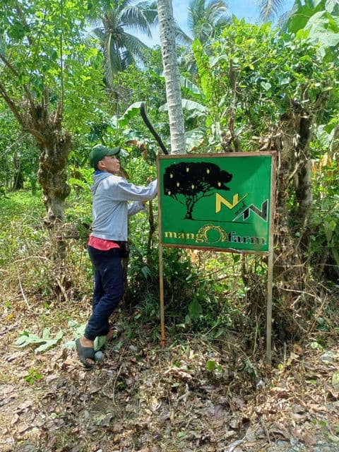 MANGO FARM 5 HECTARES FOR SALE BONGABONG ORIENTAL MINDORO - Image 5 of 5