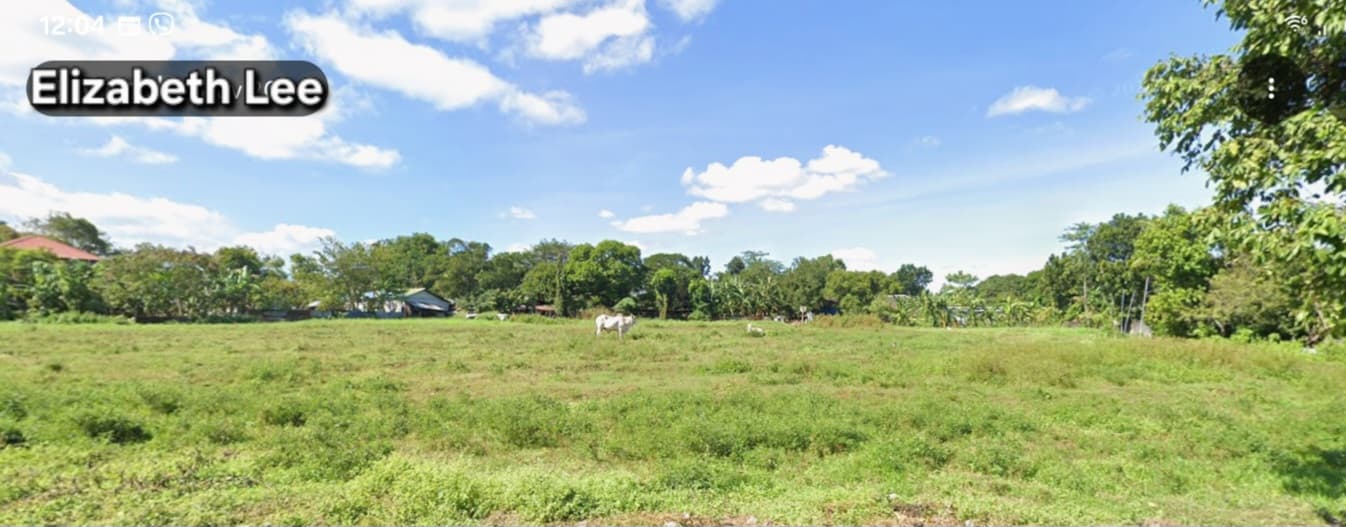 FOR SALE: VACANT LOT ( Agri. ) - Image 1