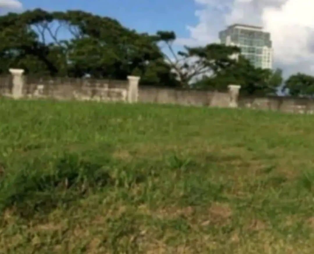FOR SALE LOT @ PALMS POINTE, ALABANG, MUNTILUPA CITY - Image 2