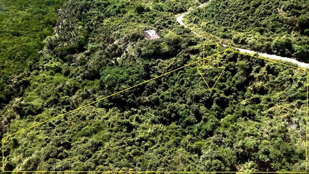 ELEVATED LOT WITH SEAVIEW - Image 3