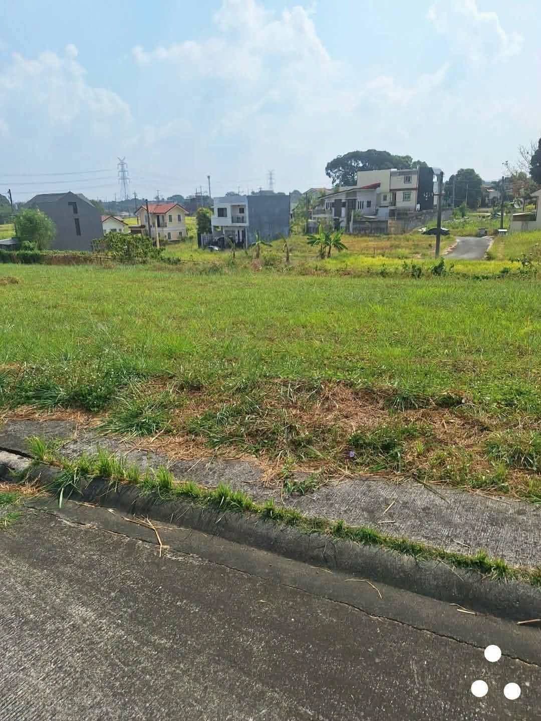 Robinsons Vineyard Lot For Sale in Dasmarinas Cavite — photo 1 of 2