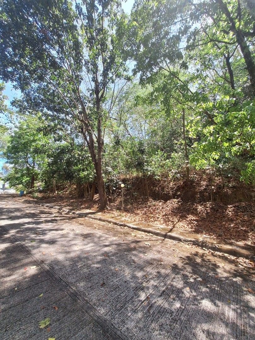 Prime 610 sqm Lot for Sale in Parkridge Estates Antipolo inside Valley Golf! - Image 3 of 5