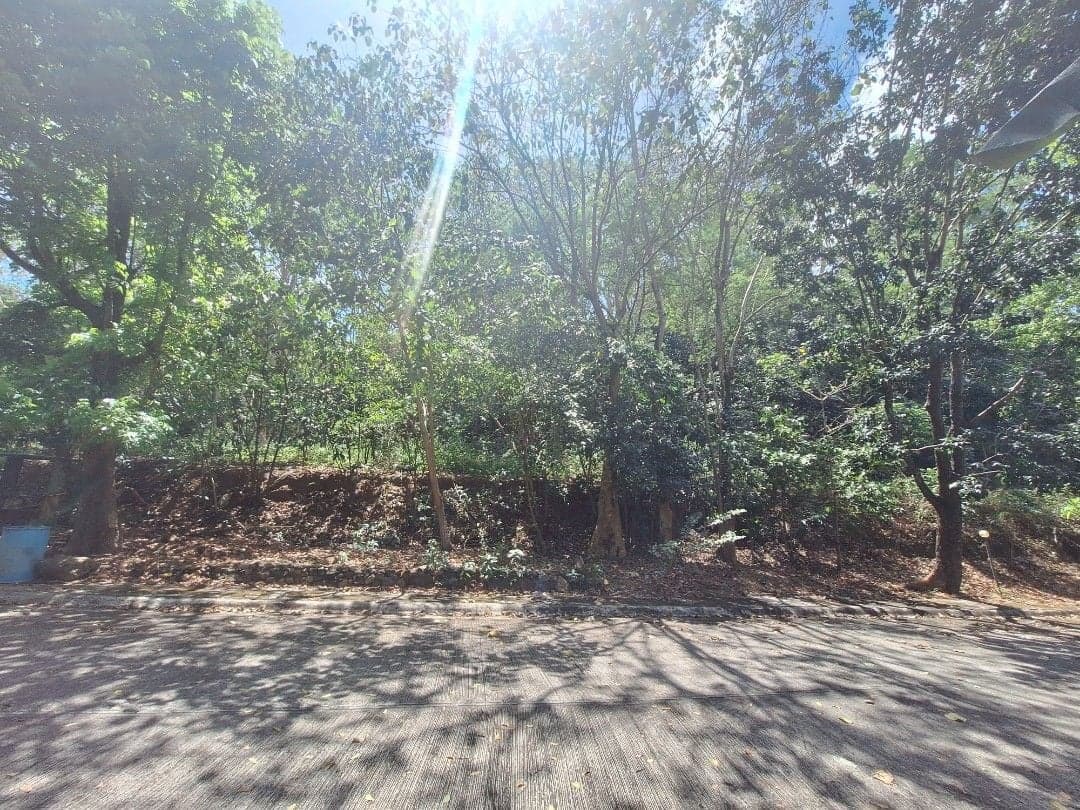 Prime 610 sqm Lot for Sale in Parkridge Estates Antipolo inside Valley Golf! - Image 1 of 5
