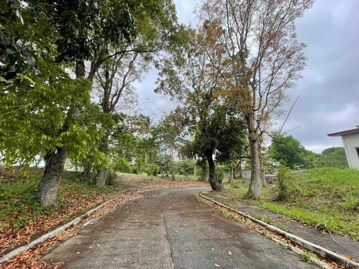 FOR SALE:VACANT RESIDENTIAL LOTIN TAGAYTAY - Image 1