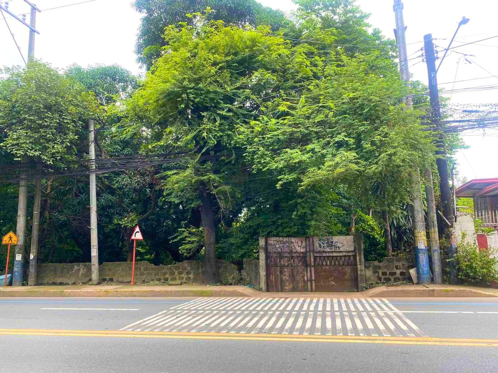 Prime Commercial Lot along Ortigas Extension - Image 1