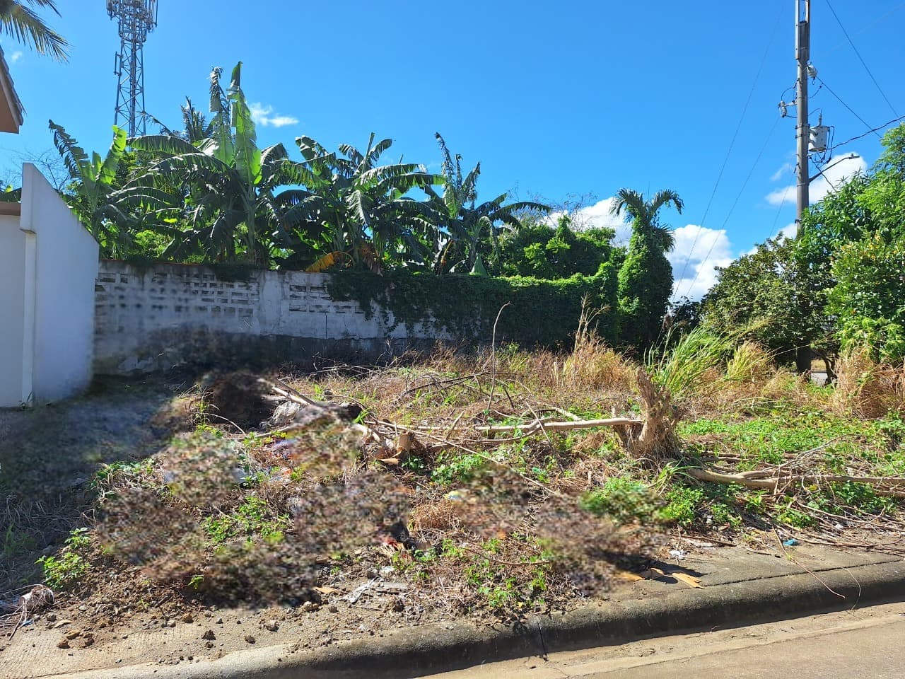 LOTS FOR SALE – CIUDAD DE CALAMBA, LAGUNA - Image 2