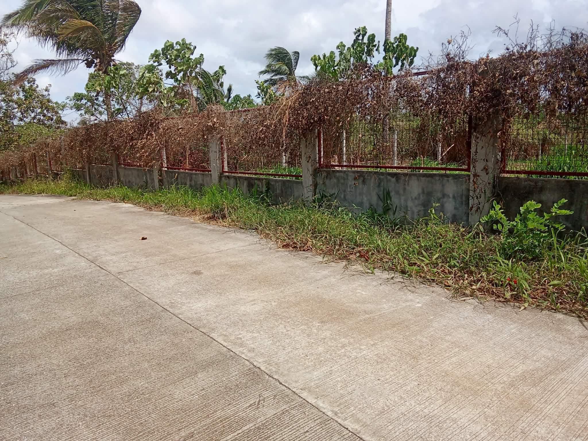 For sale 1,278sqm lot in alfonso cavite - Image 2 of 3