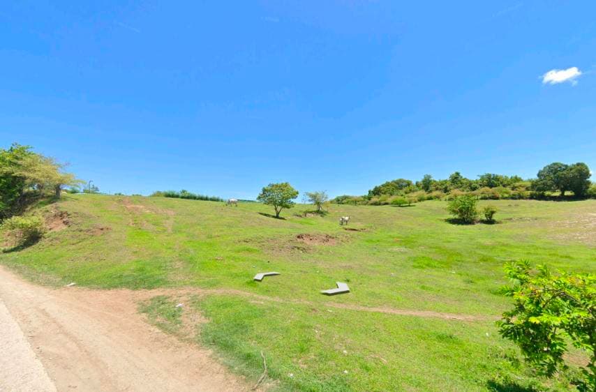 AGRI LOT NEAR THE BEACH - Image 4