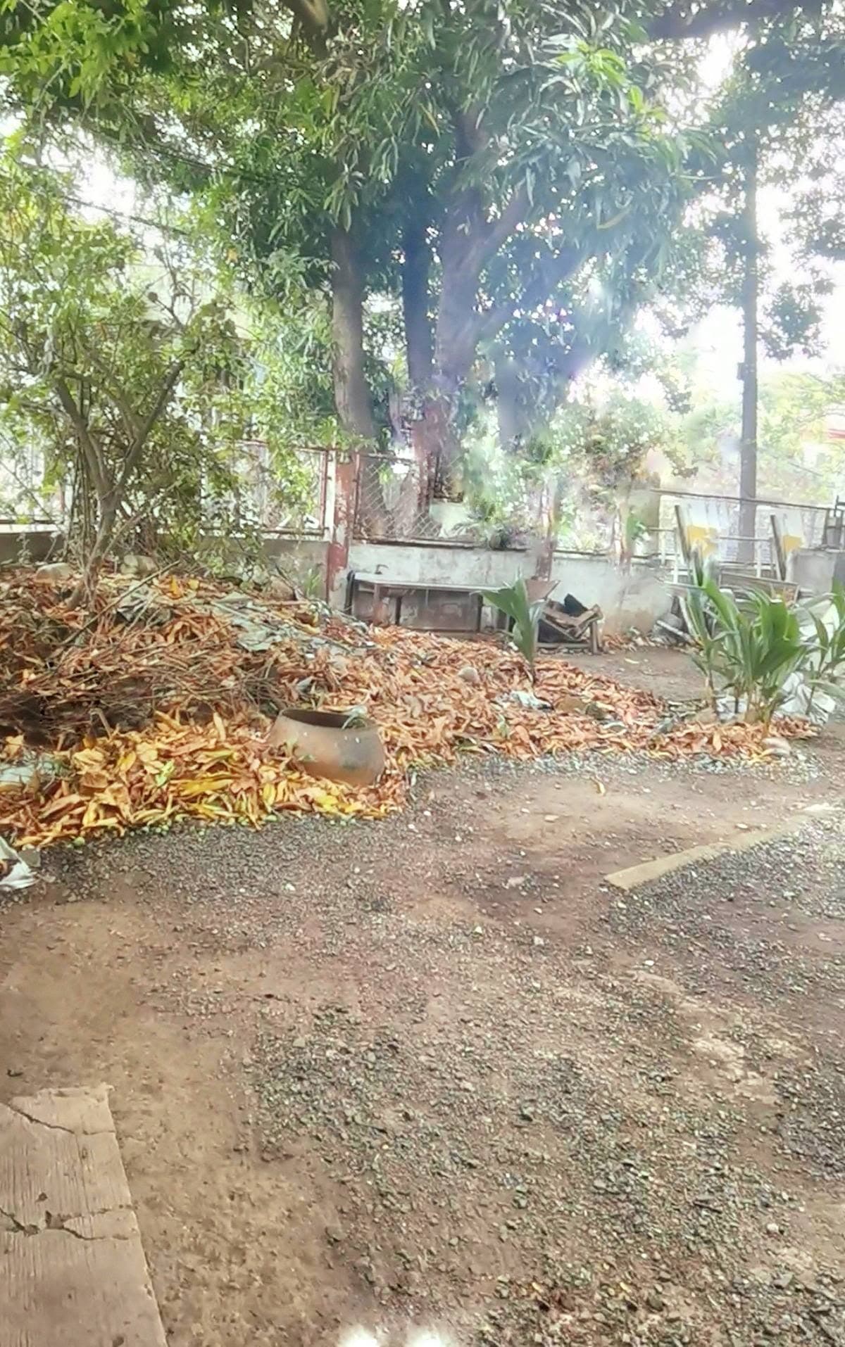 LOT FOR SALE in Sun Valley Subdivision Parañaque City (Gate 2 Easy Access!) - Image 4 of 5