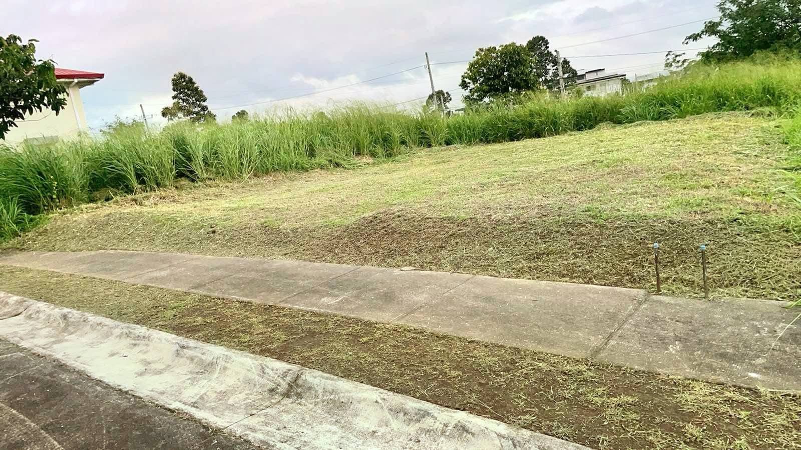 SACRIFICE SALE VACANT LOT IN AVIDA WOODHILL SETTINGS NUVALI LAGUNA PhP 25k per sqm only - Image 4 of 5