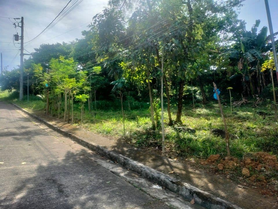 375 sqm lot in La Montana Estate Antipolo for sale - Image 5 of 5