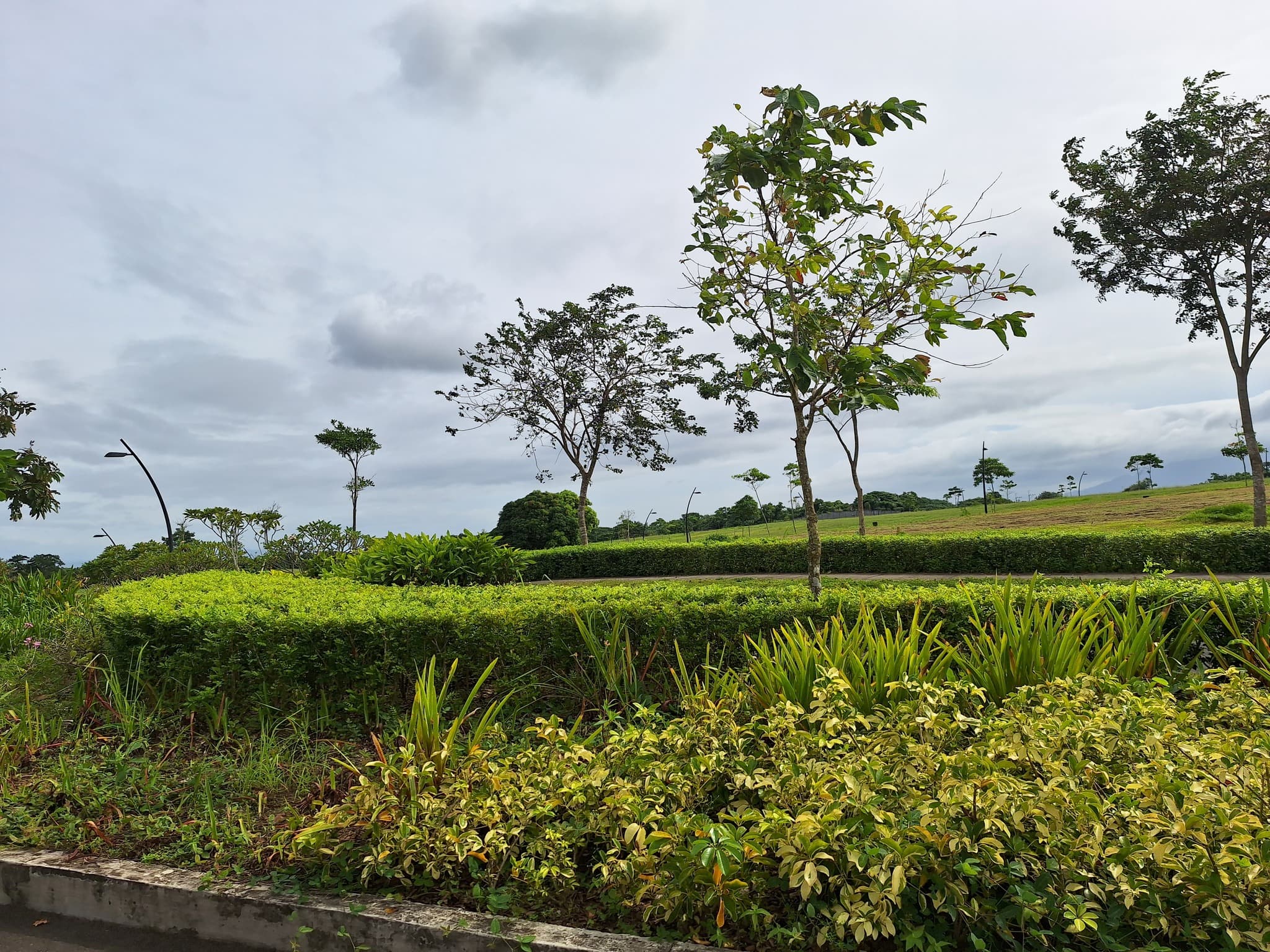 LOT FOR SALE NUVALI CERILO - Image 1