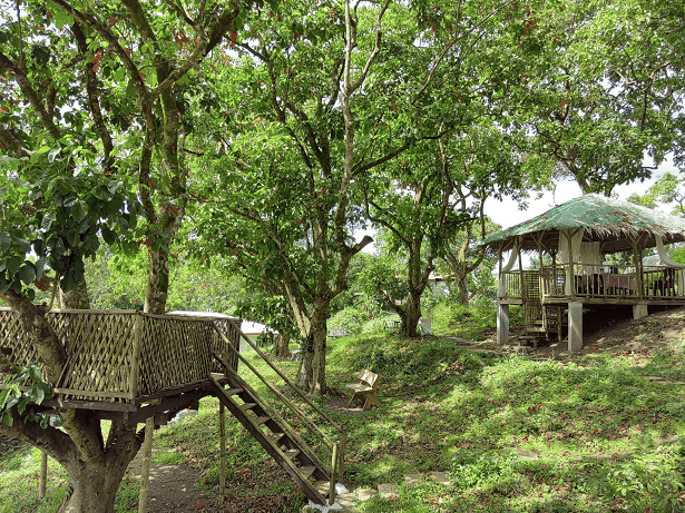 INCOME-GENERATING 1.4+ HECTARE COMMERCIAL–AGRICULTURAL ESTATE | TURNKEY OPERATIONS - Image 1