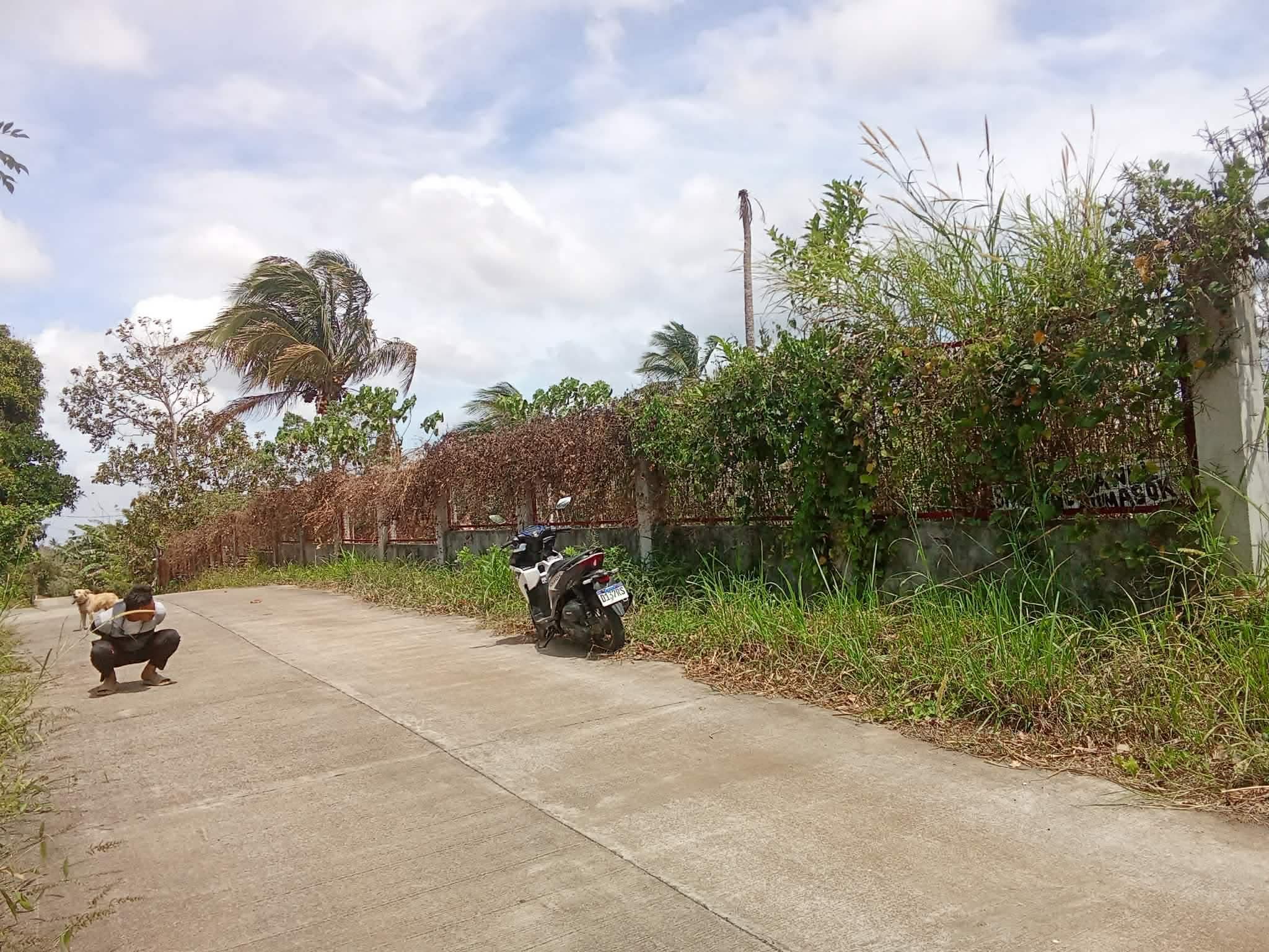 For sale 1,278sqm lot in alfonso cavite - Image 1 of 3