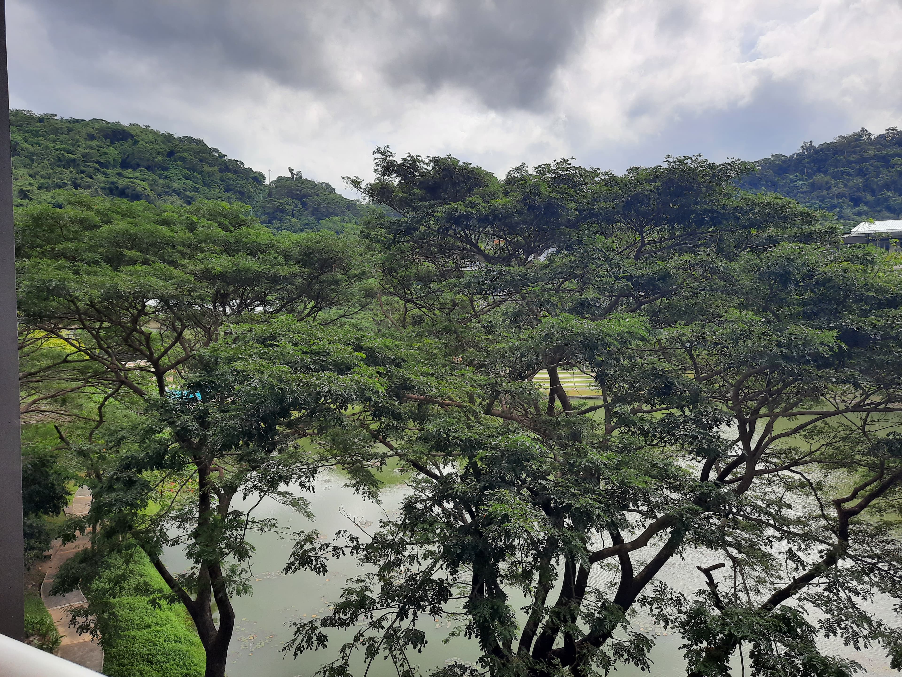 FOR SALE- INVESTMENT SUITE UNIT AT PICO DE LORO - Image 4 of 4