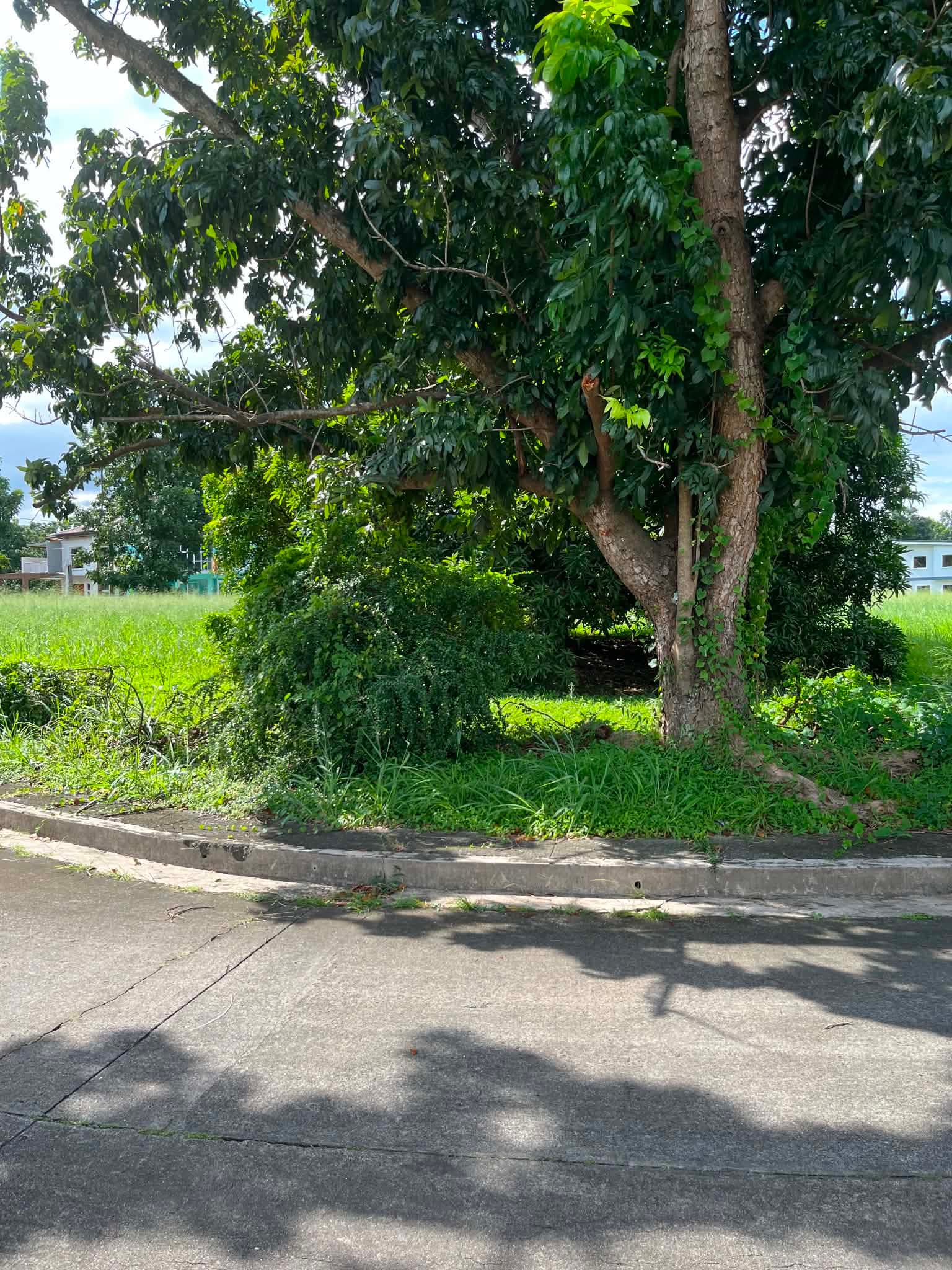 Lot For Sale in Carmel Ridge Subdivision - Image 1 of 1