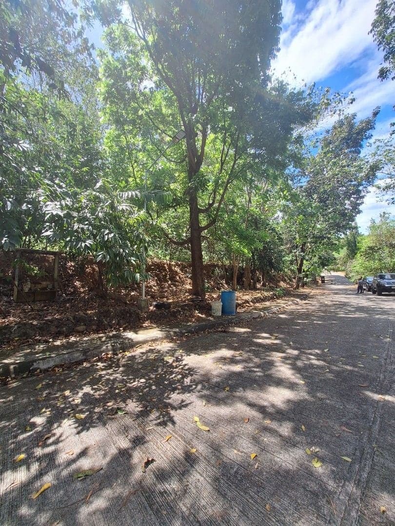 Prime 610 sqm Lot for Sale in Parkridge Estates Antipolo inside Valley Golf! - Image 4 of 5