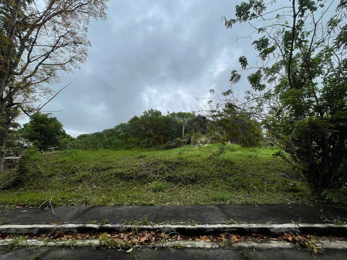 FOR SALE:VACANT RESIDENTIAL LOTIN TAGAYTAY - Image 2