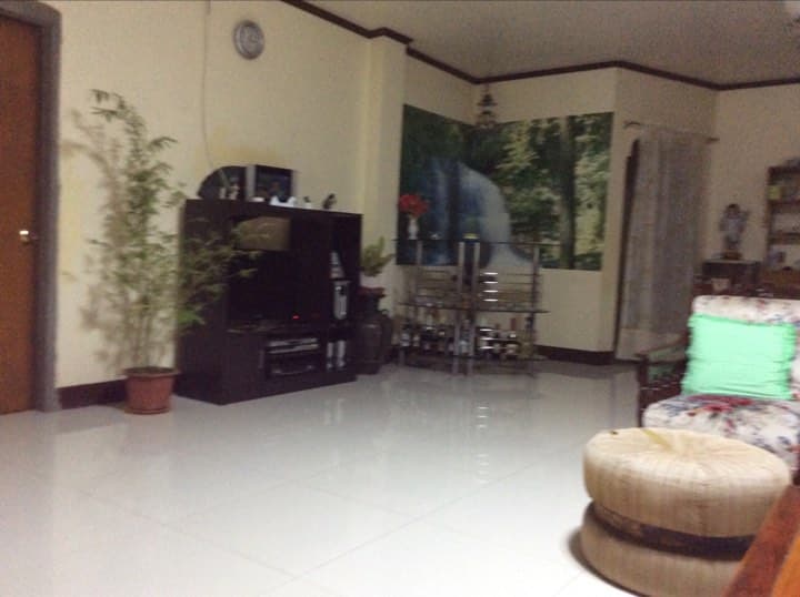 MANGO FARM 5 HECTARES FOR SALE BONGABONG ORIENTAL MINDORO - Image 4 of 5