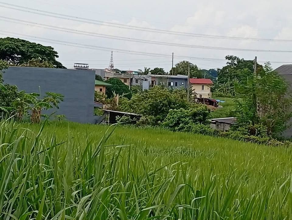 Robinsons Vineyard Lot For Sale in Dasmarinas Cavite — photo 2 of 2