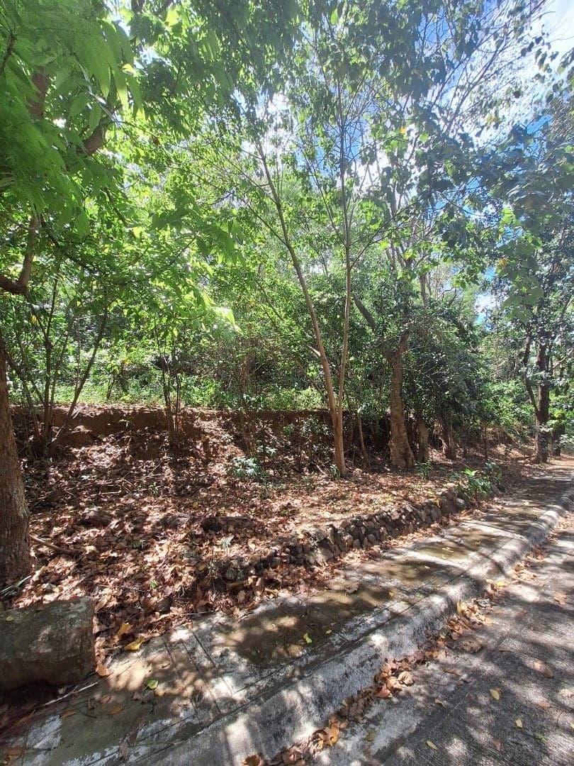 Prime 610 sqm Lot for Sale in Parkridge Estates Antipolo inside Valley Golf! - Image 5 of 5