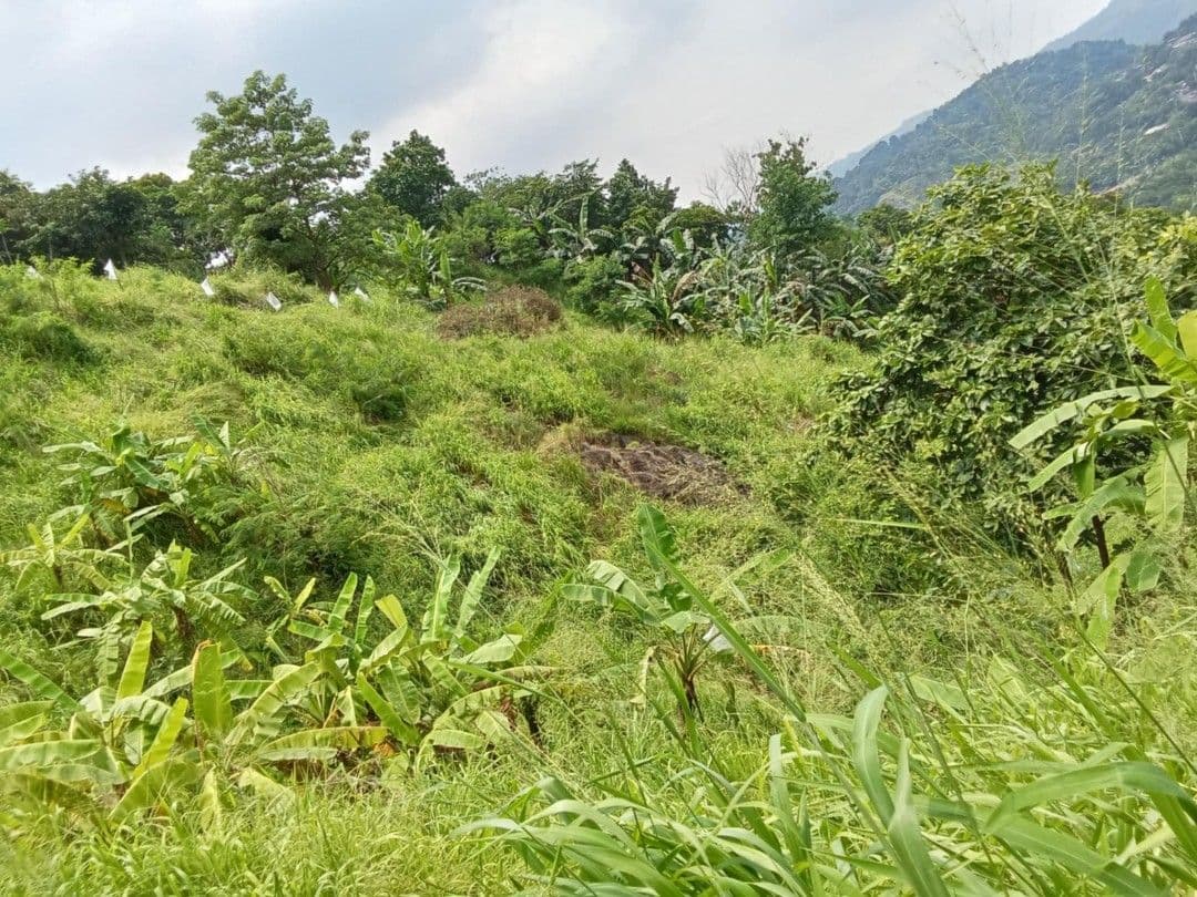 Sacrificed sale! Below zonal value!  Adjacent Lots – 936 sqm & 589 sqm  inside La Montana Subdivision with mountain view - Image 1 of 2