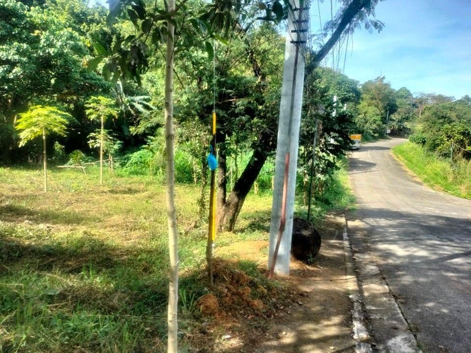 375 sqm lot in La Montana Estate Antipolo for sale - Image 2 of 5
