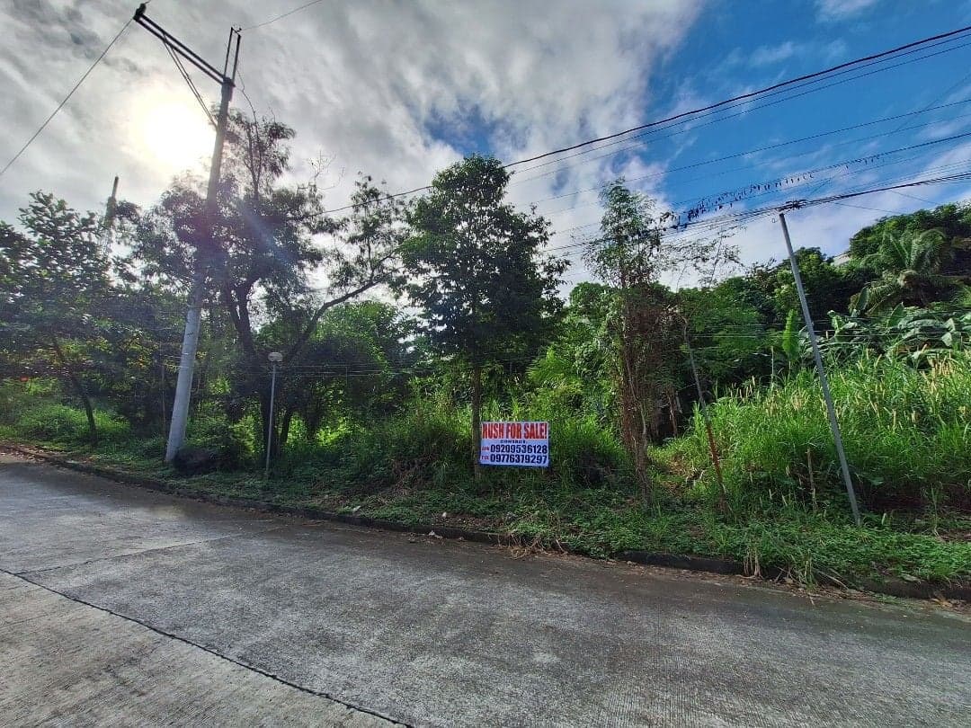 375 sqm lot in La Montana Estate Antipolo for sale - Image 4 of 5