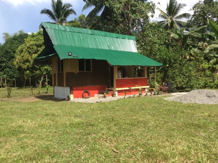 MANGO FARM 5 HECTARES FOR SALE BONGABONG ORIENTAL MINDORO - Image 1 of 5