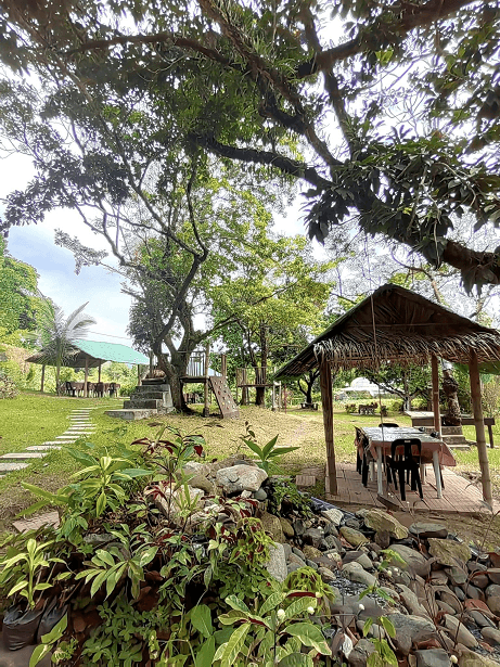 INCOME-GENERATING 1.4+ HECTARE COMMERCIAL–AGRICULTURAL ESTATE | TURNKEY OPERATIONS - Image 4