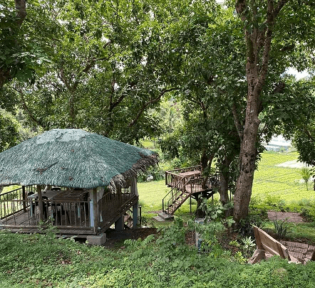 INCOME-GENERATING 1.4+ HECTARE COMMERCIAL–AGRICULTURAL ESTATE | TURNKEY OPERATIONS - Image 3