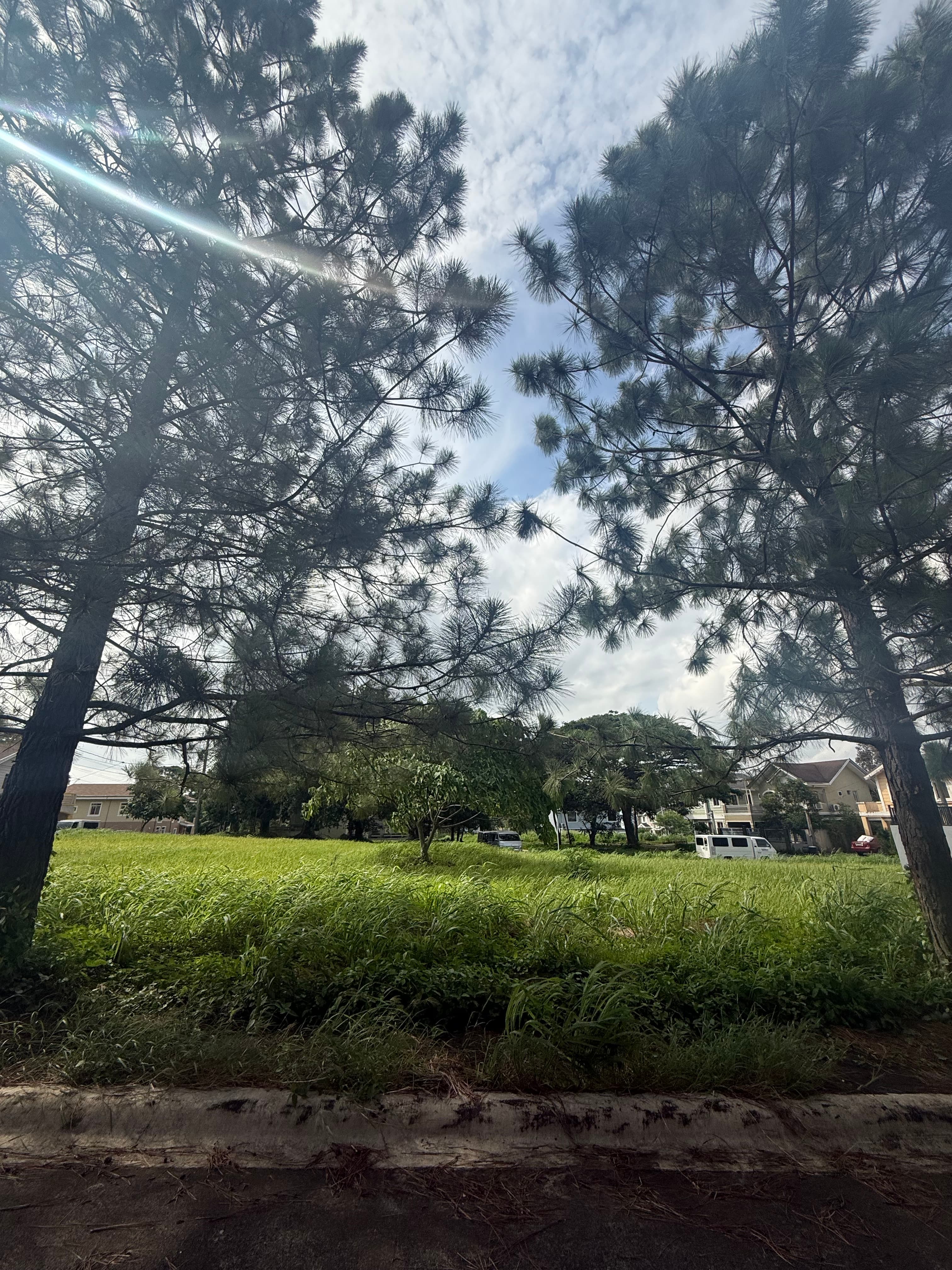 San Agustine Groove Lot For Sale - main photo