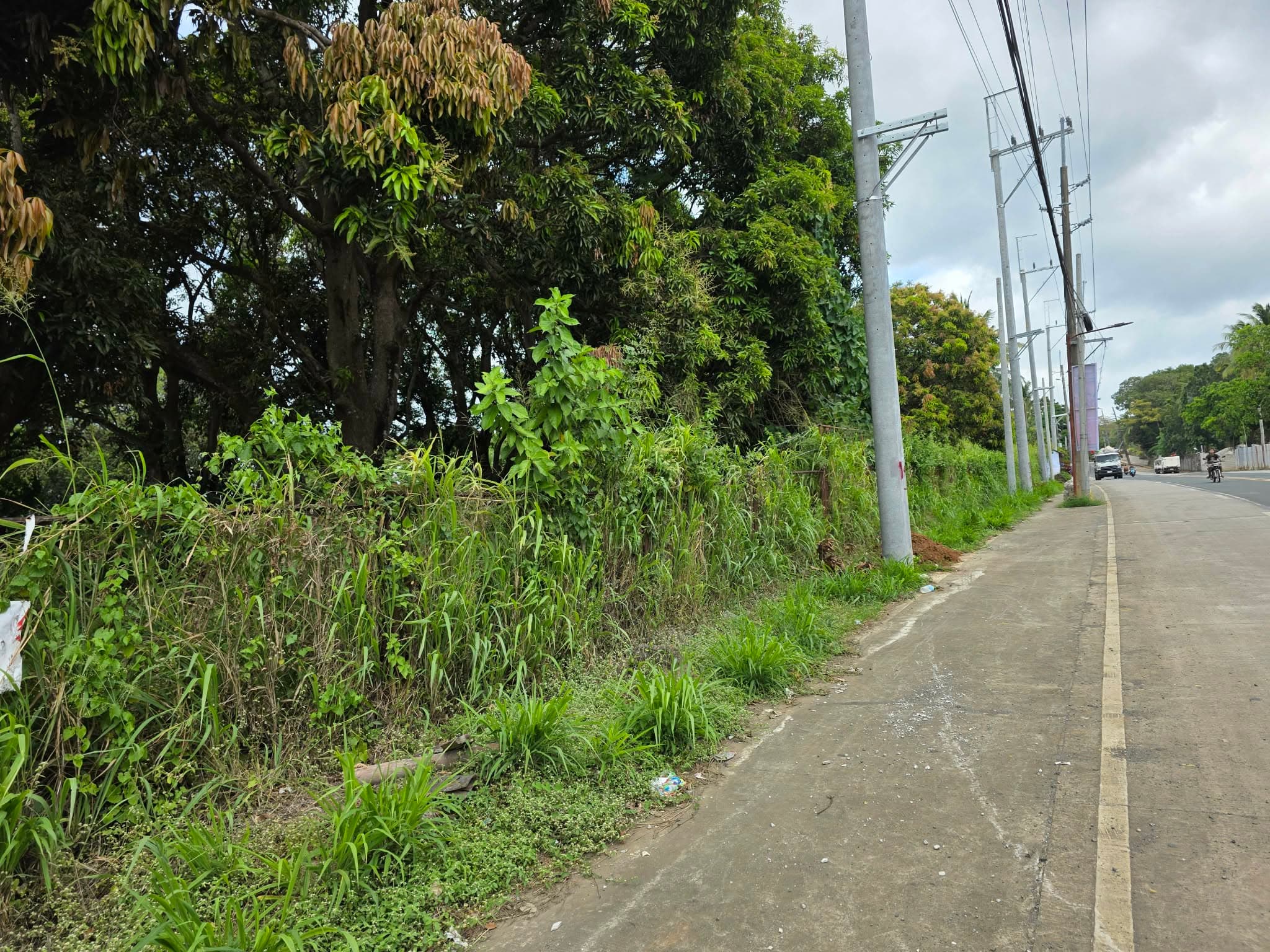 PRIME COMMERCIAL LOT IN TANAY - main photo