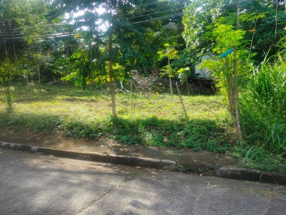 375 sqm lot in La Montana Estate Antipolo for sale - Image 1 of 5