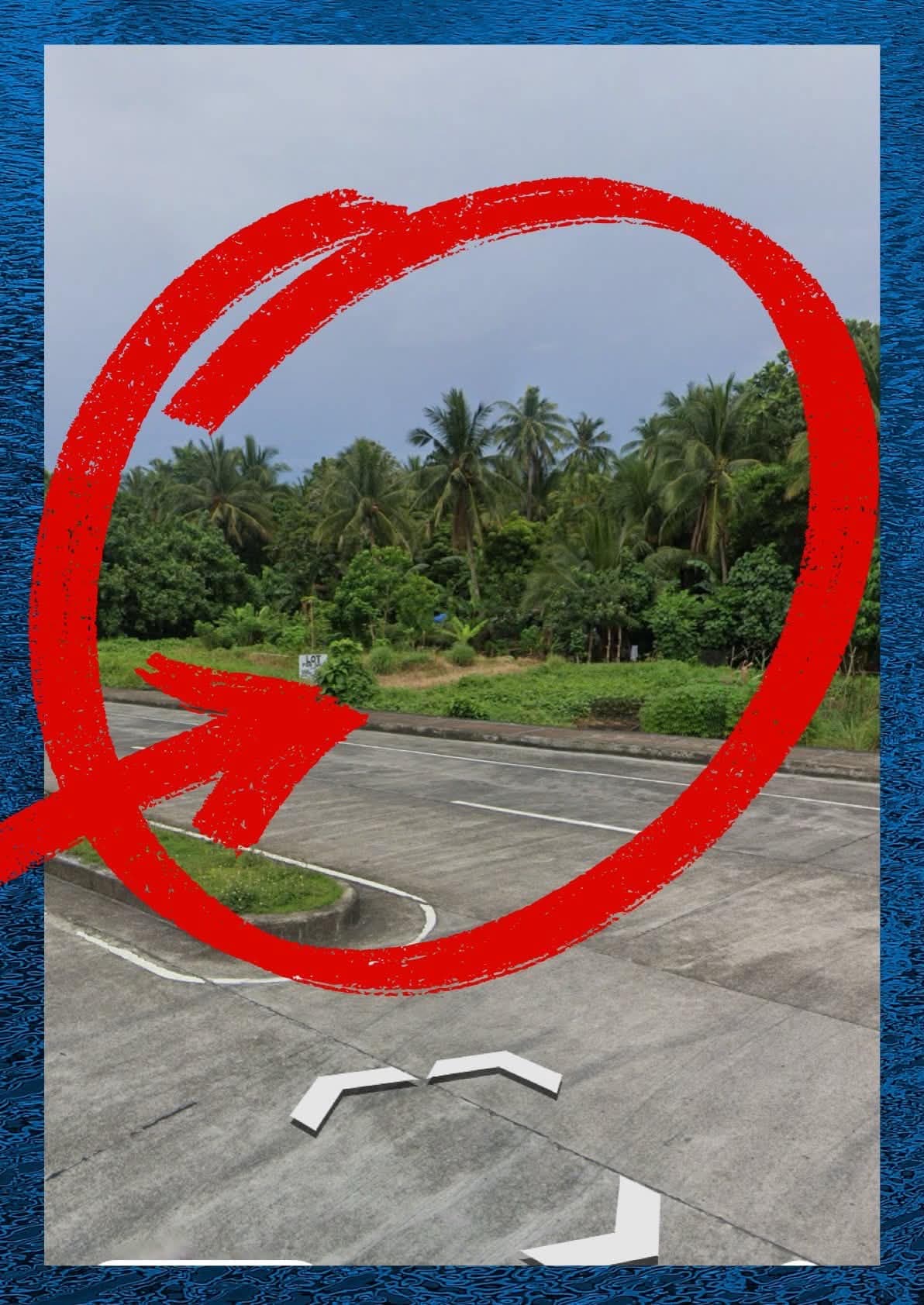 Prime 3,480 sqm Raw Land for Sale - Sorsogon Diversion Road (Commercial Zone Potential, Across Villa Italia Hotel) - Image 2 of 2