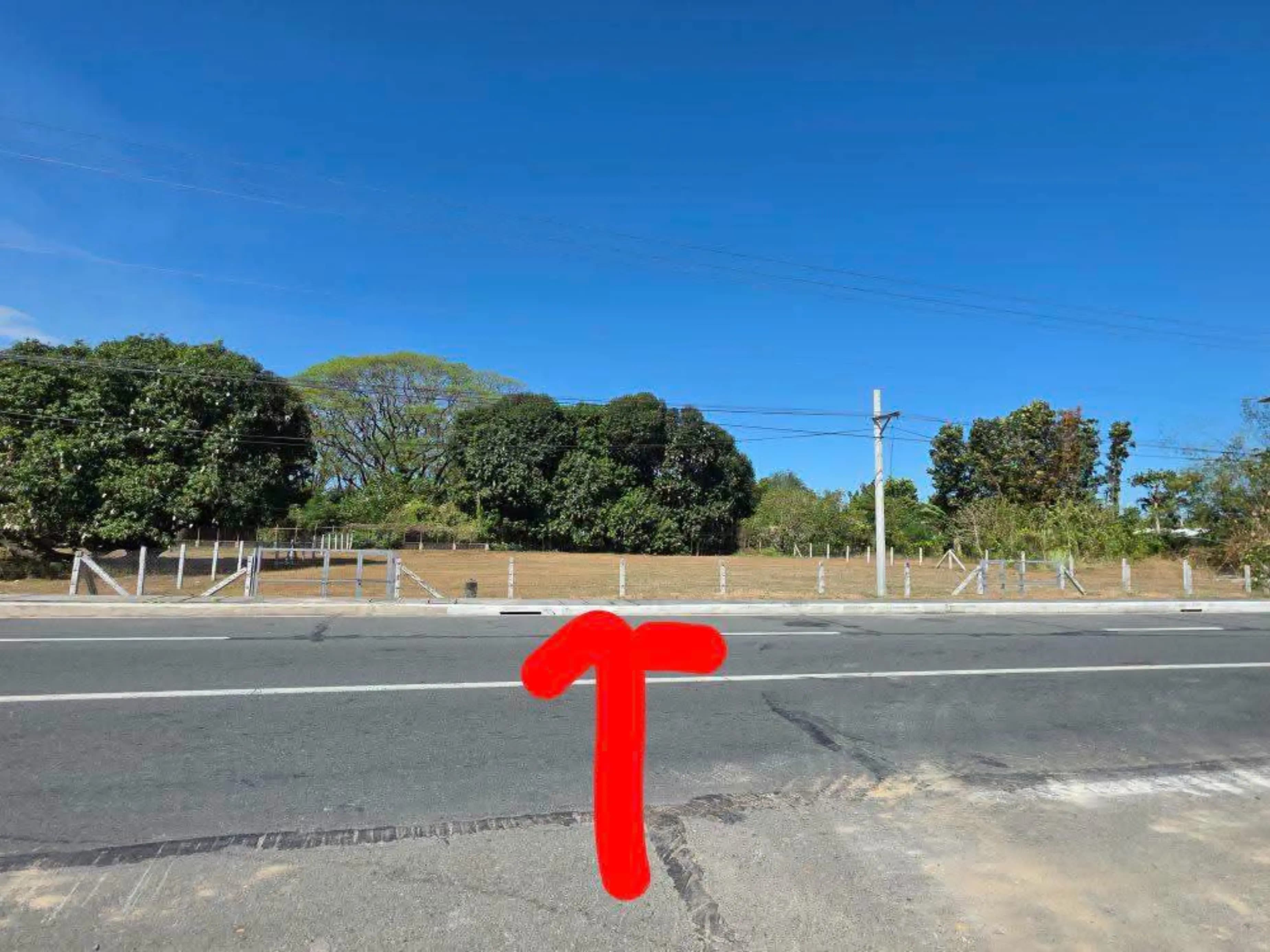 Lot for sale — photo 2 of 2