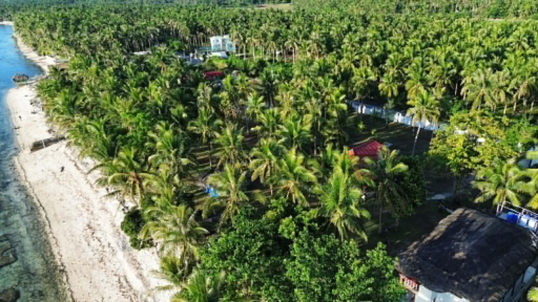 Beachfront Resort in Capul Island, Northern Samar ๐ - Image 5 of 5