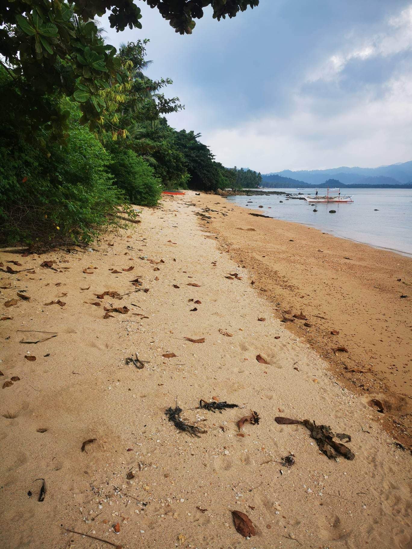 BEACH LOT FOR SALE IN SAN VICENTE PALAWAN - Image 1 of 5