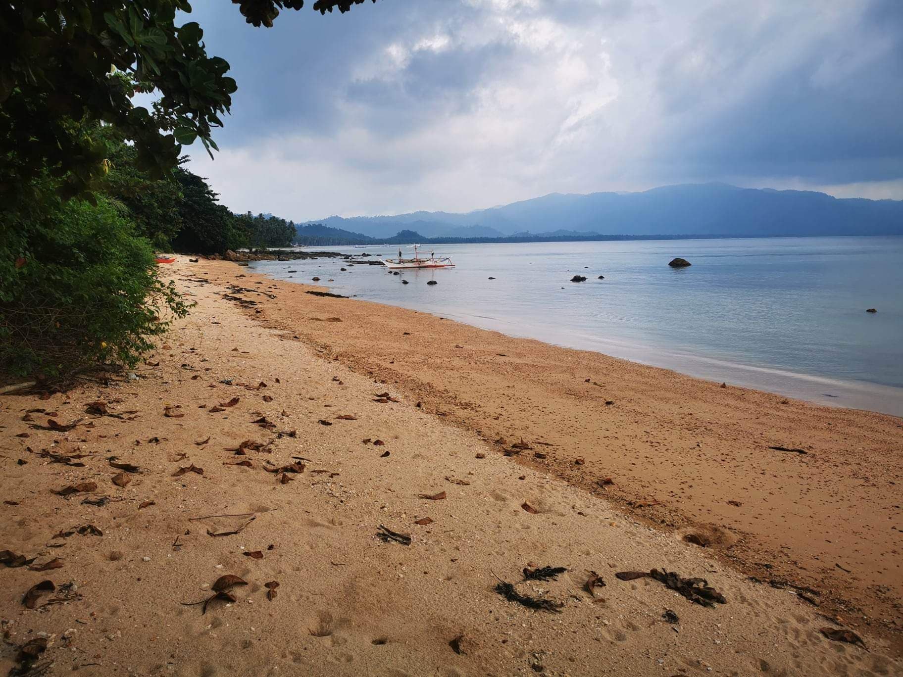 BEACH LOT FOR SALE IN SAN VICENTE PALAWAN - Image 3 of 5