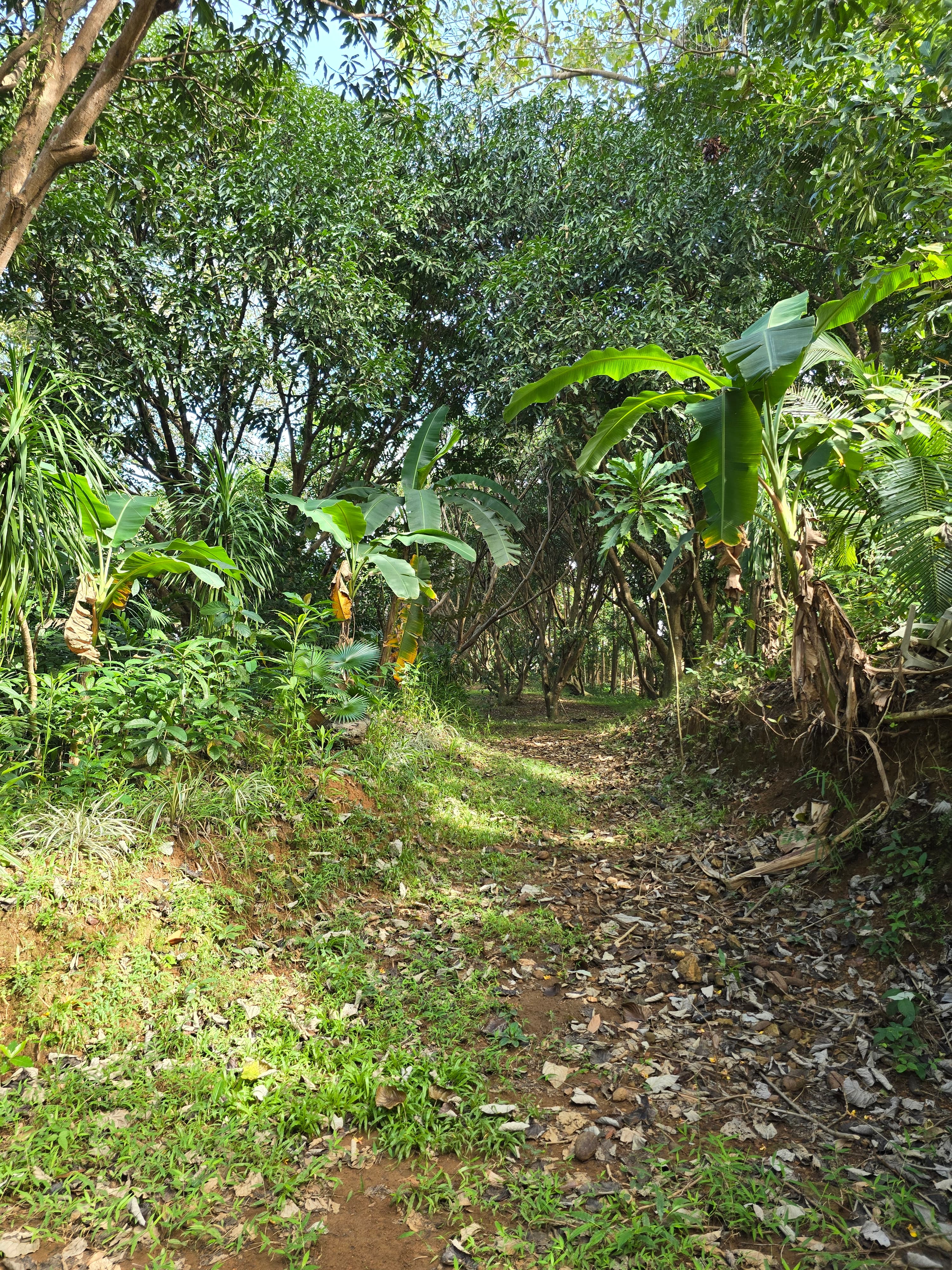 FOR SALE: VACANT LOT near TIMBERLAND San Mateo Rizal - Image 1 of 1